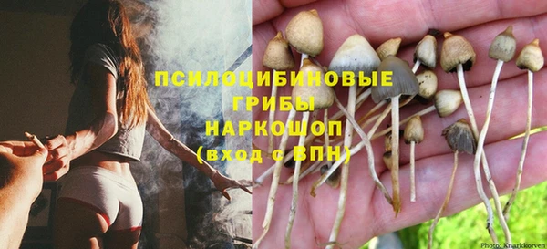 Альфа ПВП Алексин