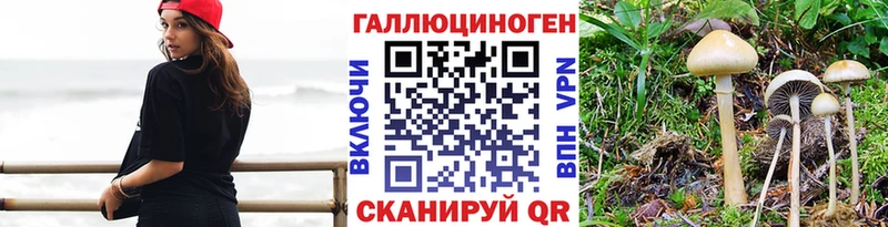 где купить наркоту  Сорочинск  Псилоцибиновые грибы Magic Shrooms 